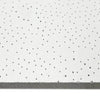 Forro Mineral AMF Ecomin Filigran Lay-in T24 13x1250x625mm (12 placas)
