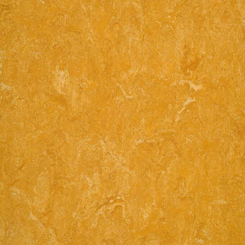 Linoleum Marmorette LPX - Rolo 60m²